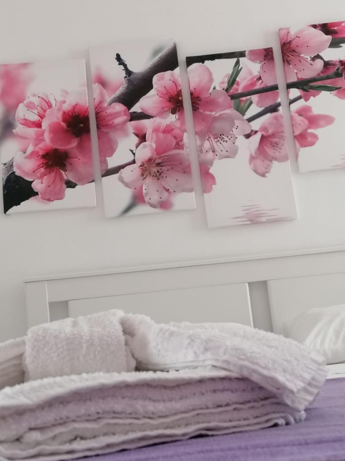 Apartamento Sognando *